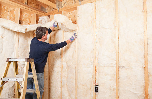 Insulation Air Sealing in Muleshoe, TX