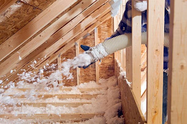 Best Blown-In Insulation  in Muleshoe, TX