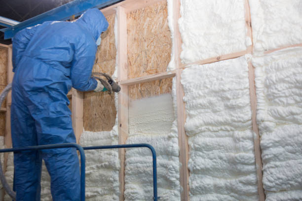 Types of Insulation We Offer in Muleshoe, TX